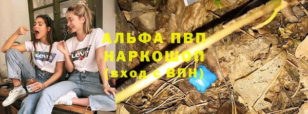 дживик Валдай