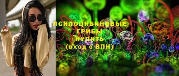 прущая мука Абаза