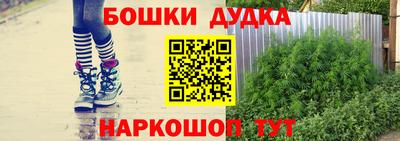 дживик Кимры