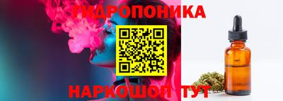 дживик Кимры