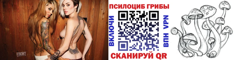 Галлюциногенные грибы Cubensis  OMG маркетплейс  Донецк 