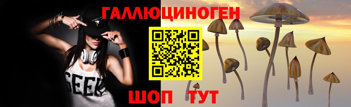 Псилоцибиновые грибы GOLDEN TEACHER Донецк